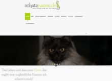 Schatznasen | Katzenblog