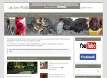 Irischer Wolfshund blog Vom kleinem Welpen zum riesen Hund