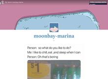 moonbay-marina