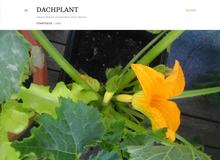 dachplant