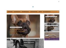 DogLike ist ein Blog für jeden Hundefreund