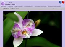 Lindas Orchideen-Tagebuch